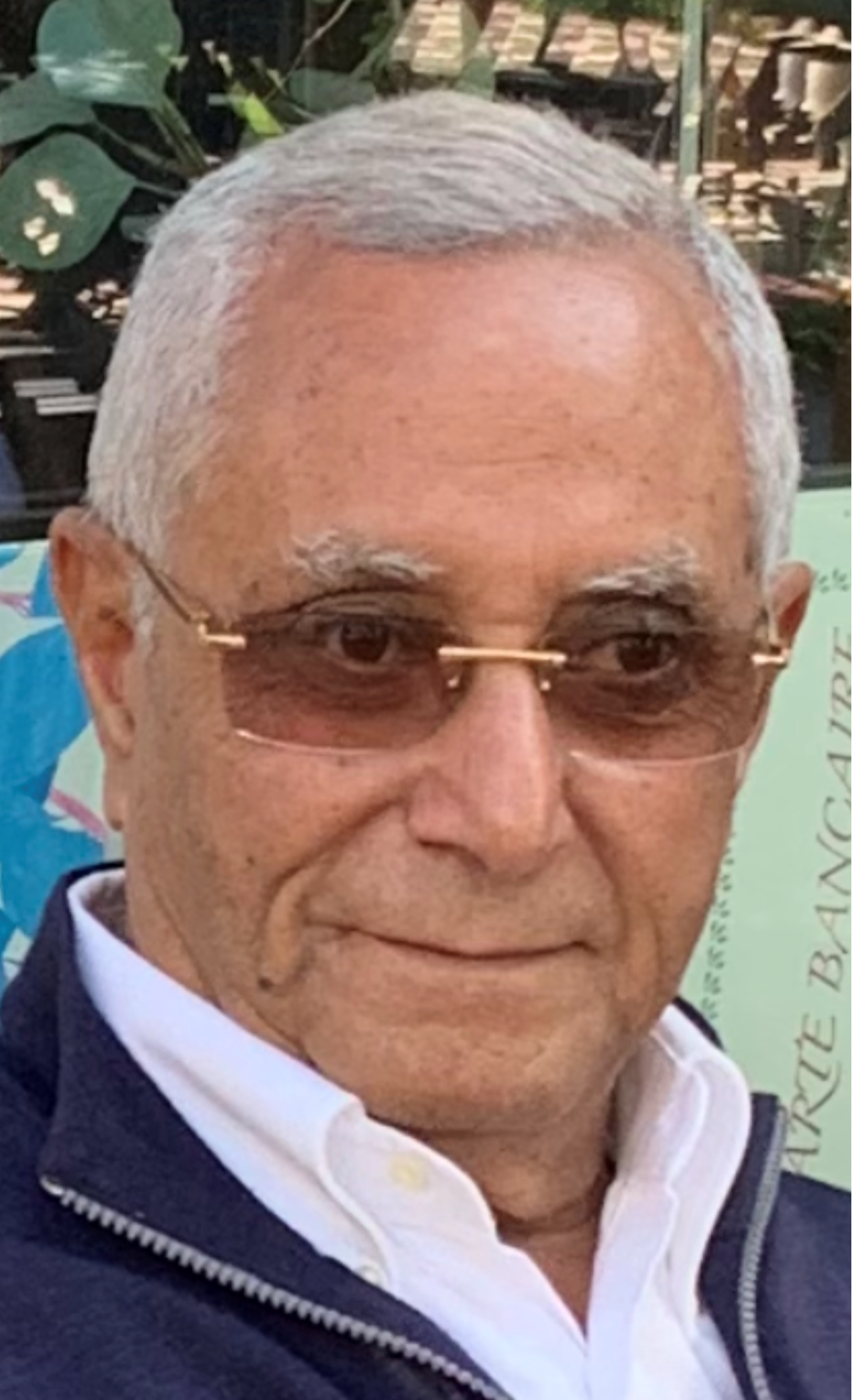 Hany Hassanien Badr